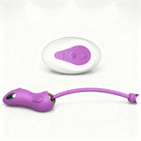 vibrating-egg-10-function-hb2115